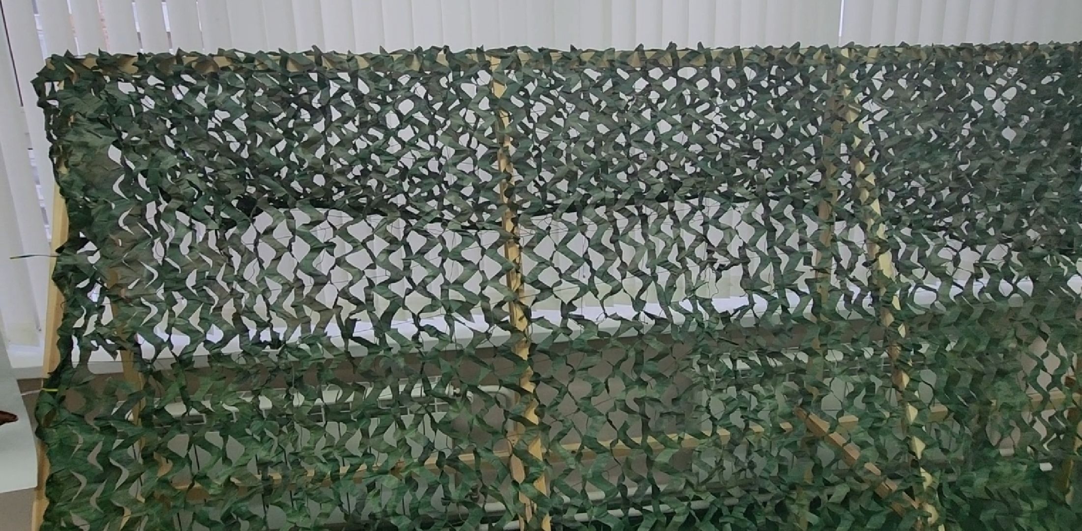 долгопрудный, 11 школа, музей, сво, бессмертный полк, народы россии,