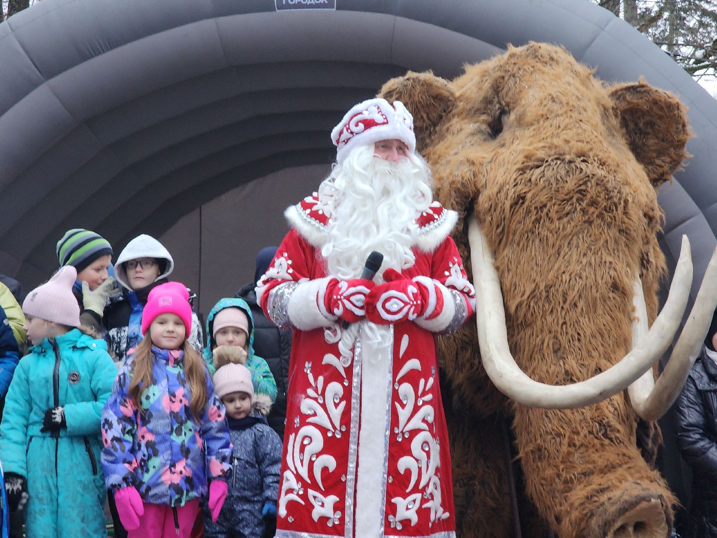 парк, праздник, первый день зимы, резиденция деда мороза, дед мороз, парк городок, руза, рузский городской округ, вертикалки, зима в подмосковье,