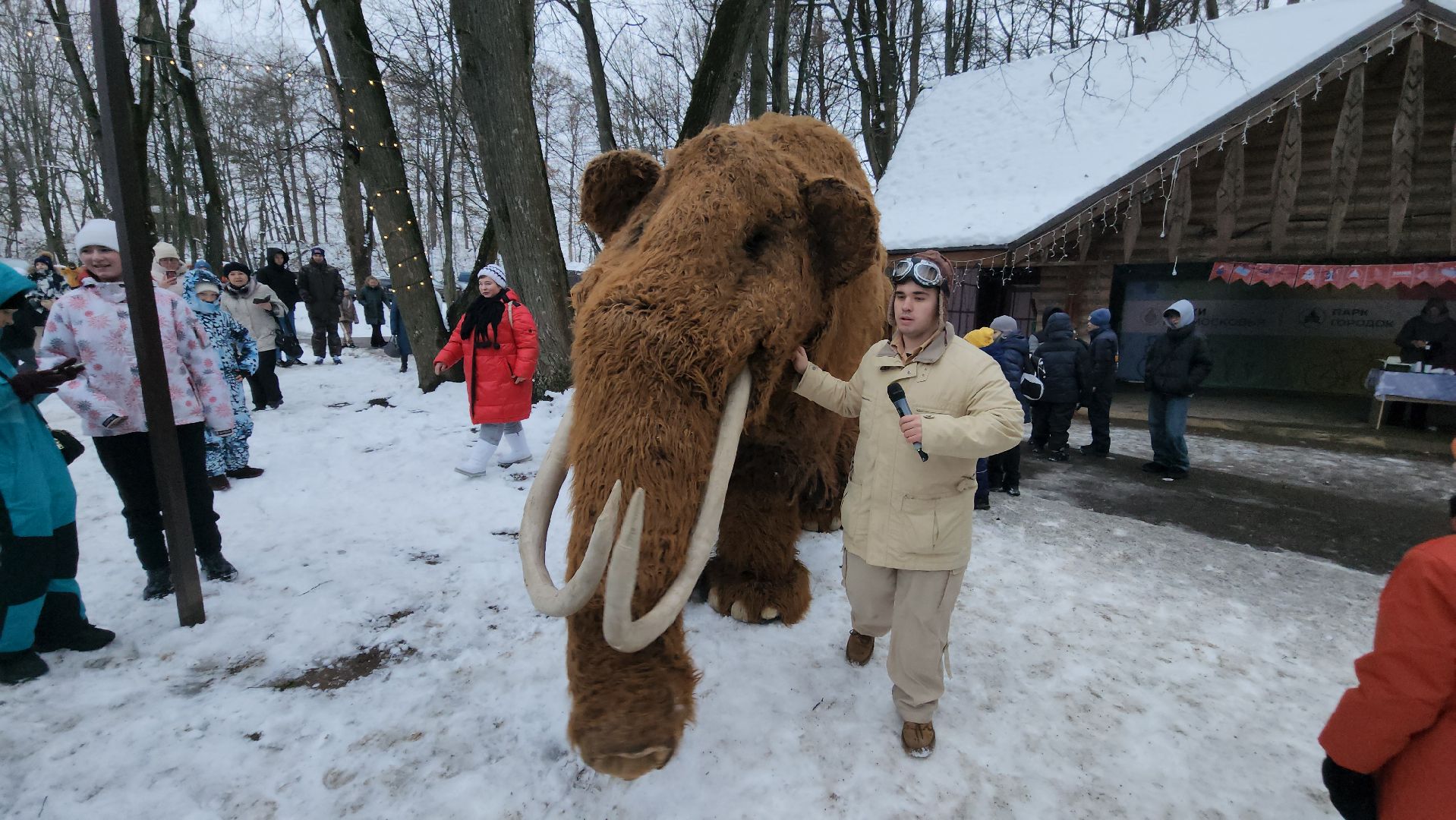 парк, парки подмосковья, руза, городок, парк городок, зима в парке, рузский городской округ, зима в подмосковье, вертикалки,