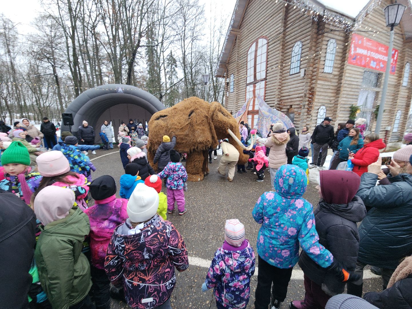 парк, парки подмосковья, руза, городок, парк городок, зима в парке, рузский городской округ, зима в подмосковье, вертикалки,