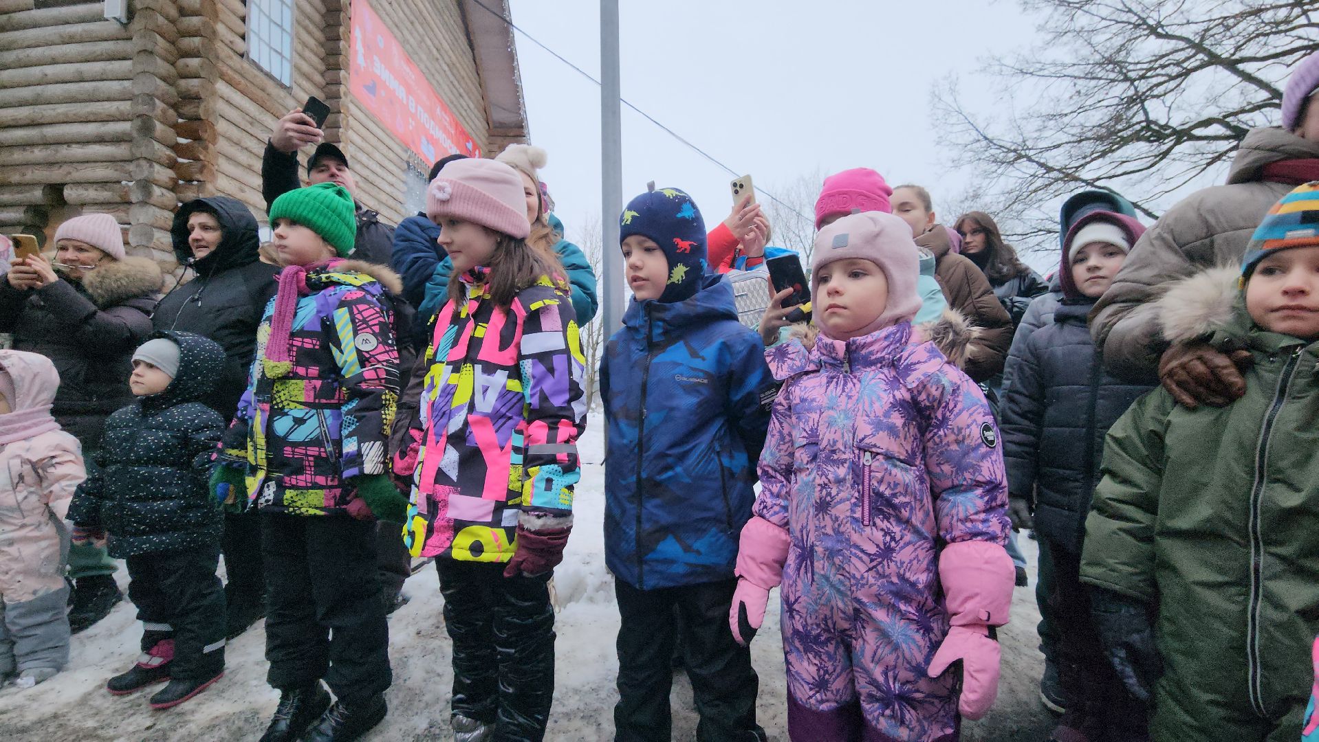 парк, парки подмосковья, руза, городок, парк городок, зима в парке, рузский городской округ, зима в подмосковье, вертикалки,