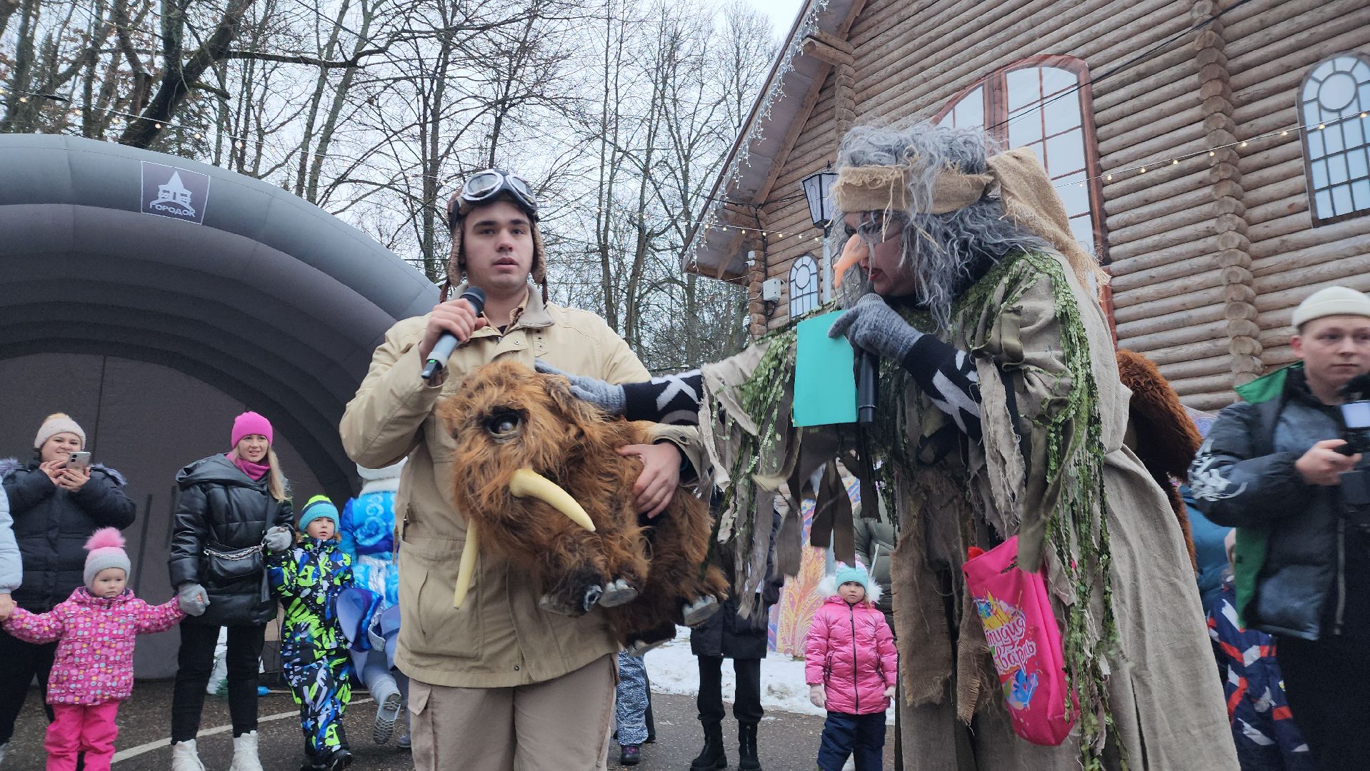 парк, парки подмосковья, руза, городок, парк городок, зима в парке, рузский городской округ, зима в подмосковье, вертикалки,