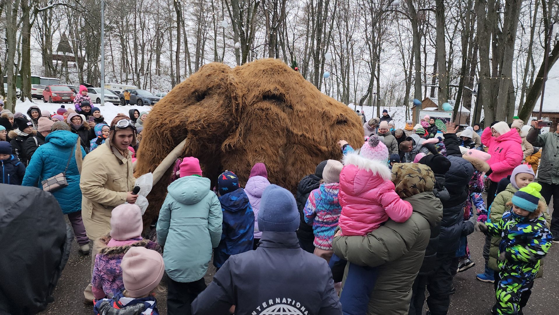 парк, парки подмосковья, руза, городок, парк городок, зима в парке, рузский городской округ, зима в подмосковье, вертикалки,