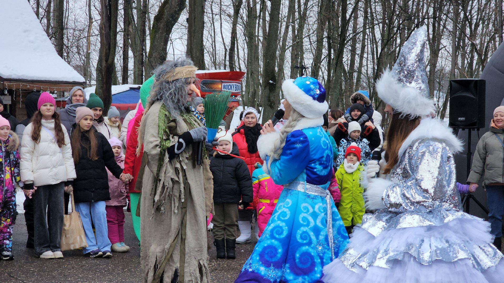парк, старт зимнего сезона, парк городок, руза, рузский городской округ, зима в парках, зима в подмосковье, вертикалки,