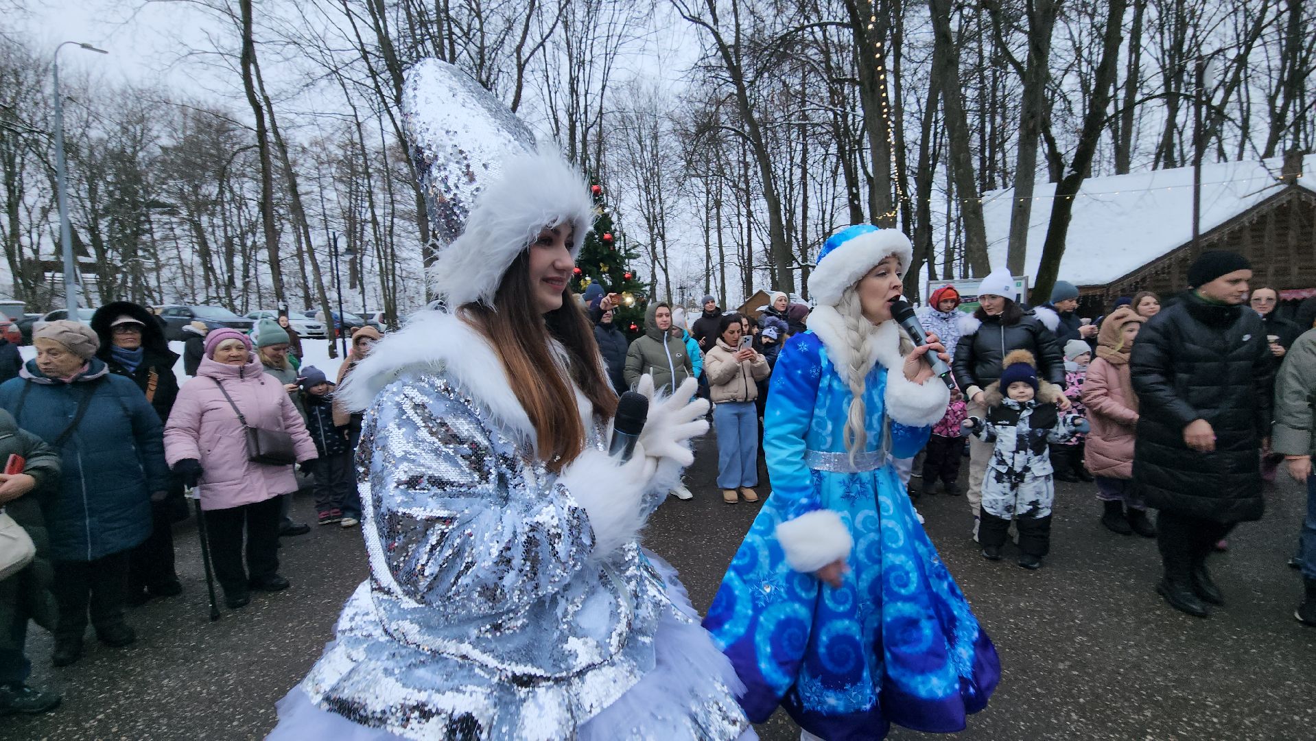 парк, старт зимнего сезона, парк городок, руза, рузский городской округ, зима в парках, зима в подмосковье, вертикалки,