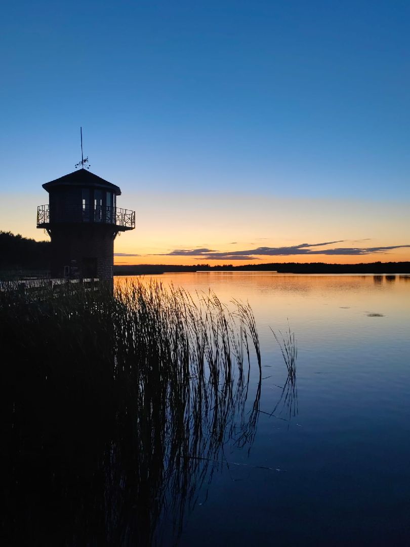 Егорьевск, рыбокомбинат, ЦНА, Подмосковье, бизнес в подмосковье, Московская область,вертикалка, вертикальное видео,