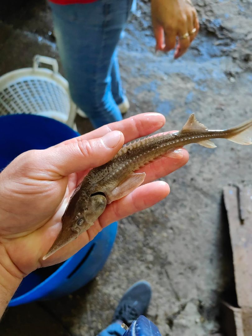 Егорьевск, рыбокомбинат, ЦНА, Подмосковье, бизнес в подмосковье, Московская область,вертикалка, вертикальное видео,