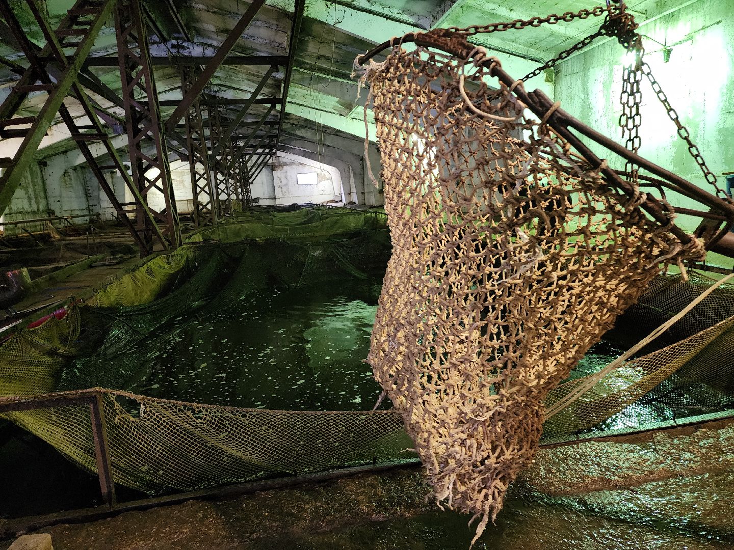 Егорьевск, рыбокомбинат, ЦНА, Подмосковье, бизнес в подмосковье, Московская область,вертикалка, вертикальное видео,