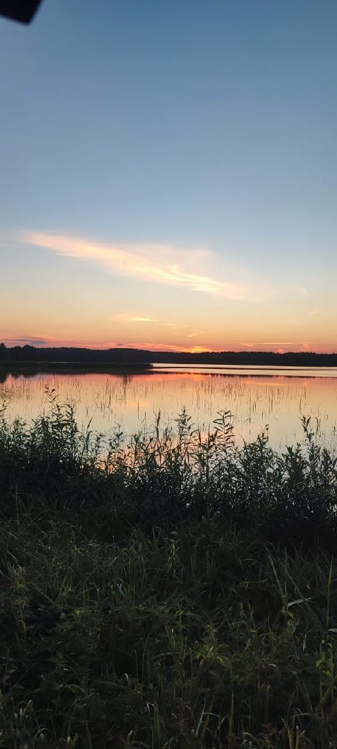 Егорьевск, рыбокомбинат, ЦНА, Подмосковье, бизнес в подмосковье, Московская область,вертикалка, вертикальное видео,