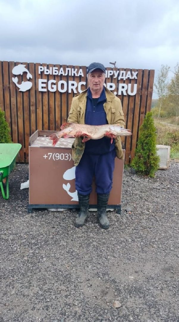 Егорьевск, рыбокомбинат, ЦНА, Подмосковье, бизнес в подмосковье, Московская область,вертикалка, вертикальное видео,