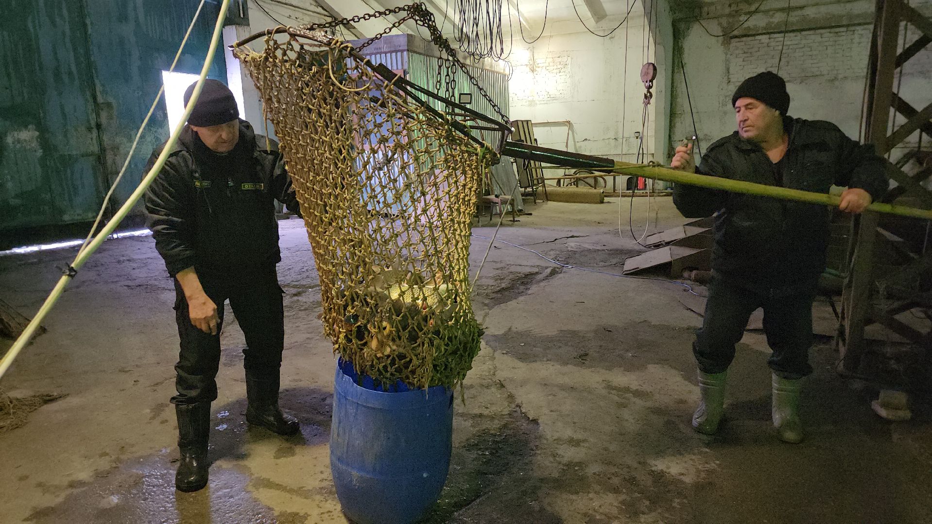 Егорьевск, рыбокомбинат, ЦНА, Подмосковье, бизнес в подмосковье, Московская область,вертикалка, вертикальное видео,