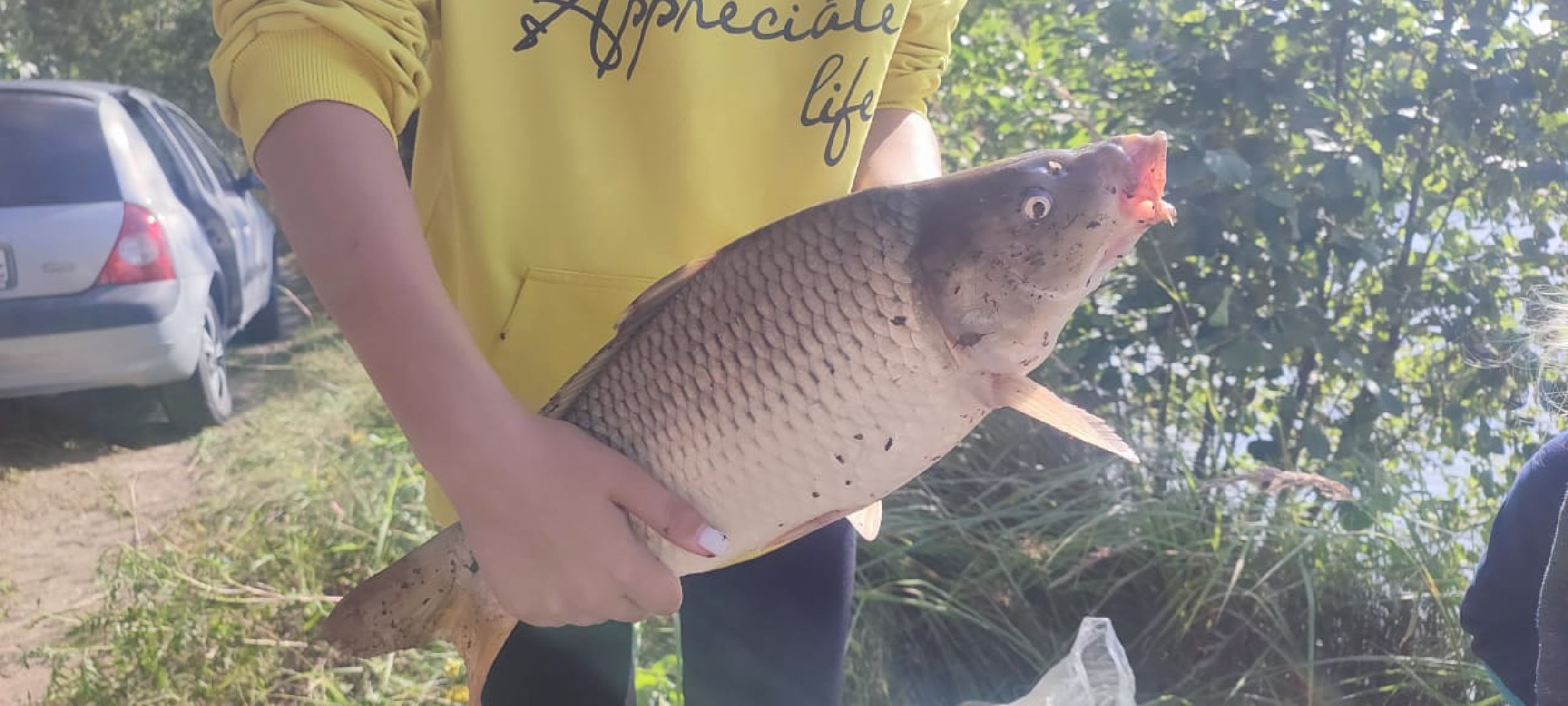 Егорьевск, рыбокомбинат, ЦНА, Подмосковье, бизнес в подмосковье, Московская область,вертикалка, вертикальное видео,