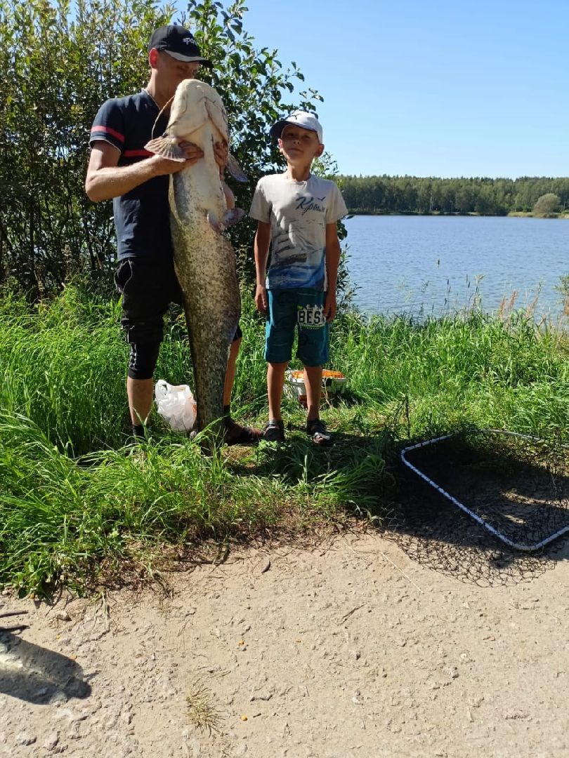 Егорьевск, рыбокомбинат, ЦНА, Подмосковье, бизнес в подмосковье, Московская область,вертикалка, вертикальное видео,