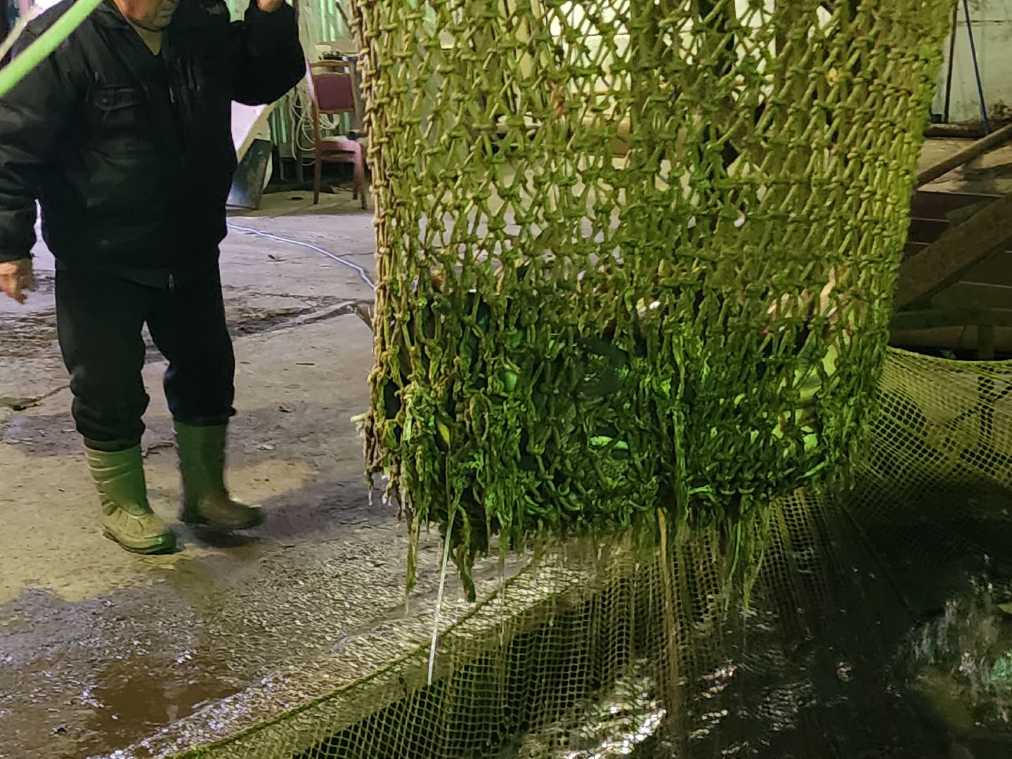 Егорьевск, рыбокомбинат, ЦНА, Подмосковье, бизнес в подмосковье, Московская область,вертикалка, вертикальное видео,