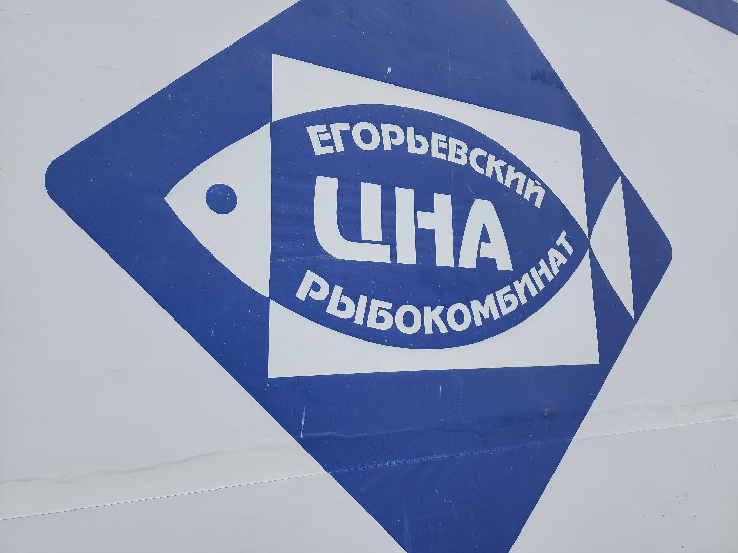 Егорьевск, рыбокомбинат, ЦНА, Подмосковье, бизнес в подмосковье, Московская область,вертикалка, вертикальное видео,