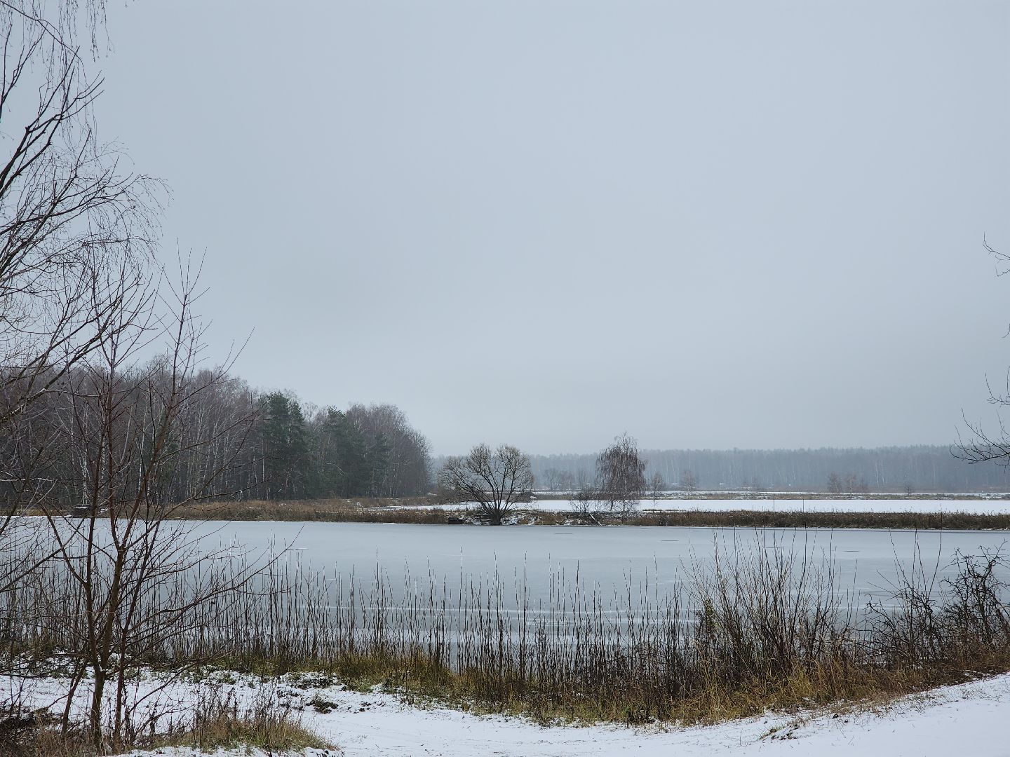 Егорьевск, рыбокомбинат, ЦНА, Подмосковье, бизнес в подмосковье, Московская область,вертикалка, вертикальное видео,
