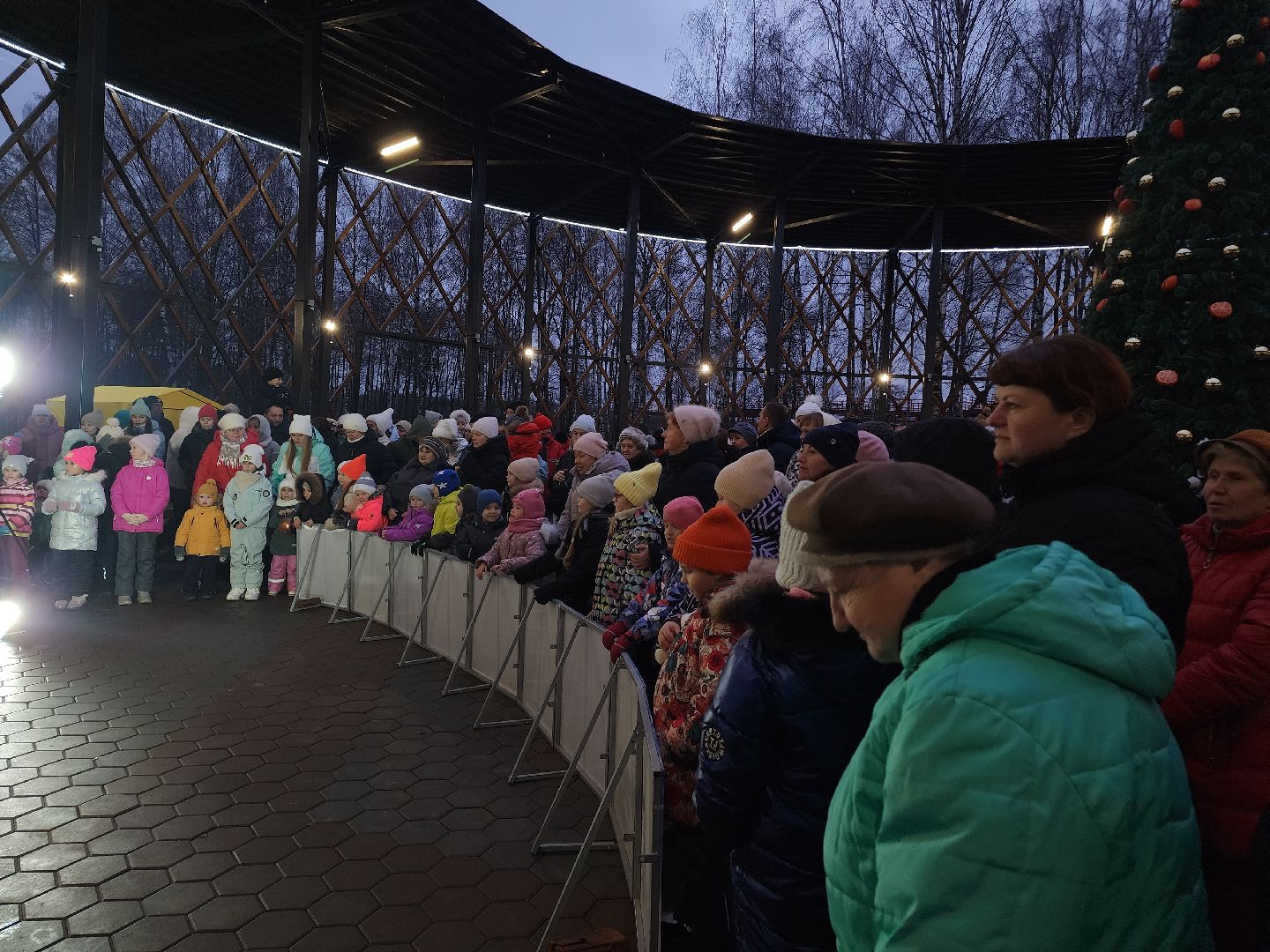 зима в подмосковье, Егорьевск, Московская область, Парк 200 лет Егорьевску», новый год, дед мороз, резиденция деда мороза, вертикалка, вертикальное видео,