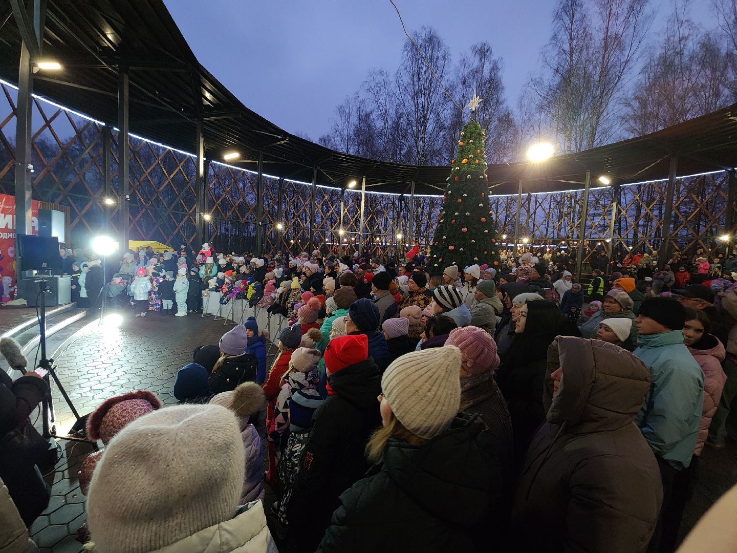 зима в подмосковье, Егорьевск, Московская область, Парк 200 лет Егорьевску», новый год, дед мороз, резиденция деда мороза, вертикалка, вертикальное видео,