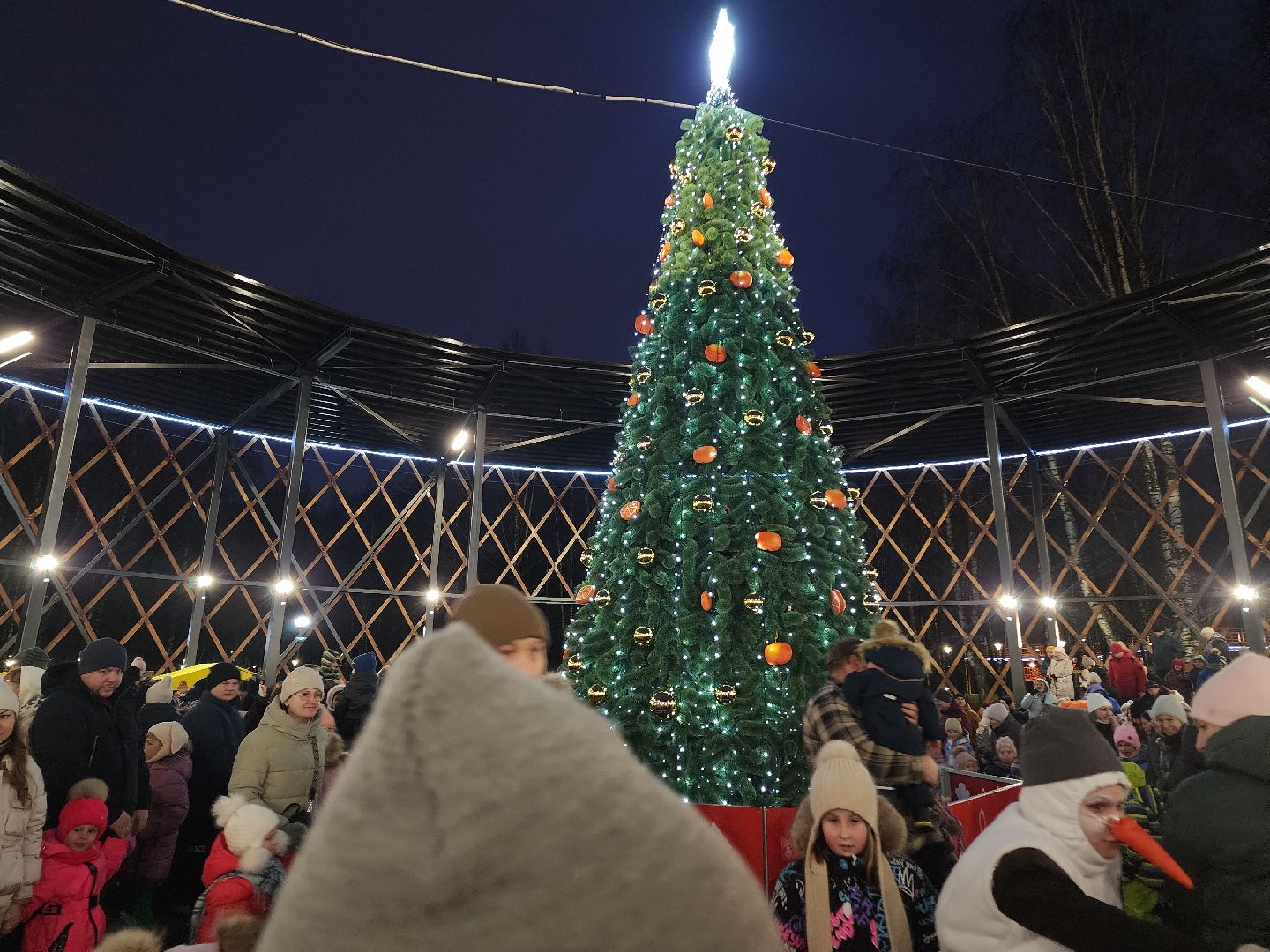 зима в подмосковье, Егорьевск, Московская область, Парк 200 лет Егорьевску», новый год, дед мороз, резиденция деда мороза, вертикалка, вертикальное видео,