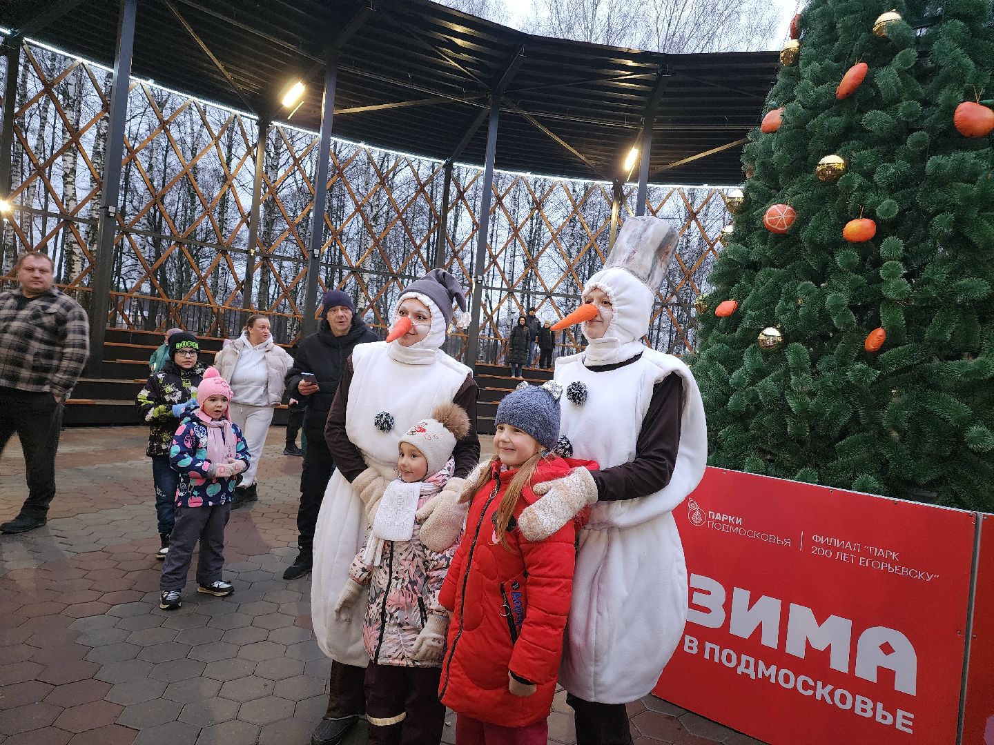 зима в подмосковье, Егорьевск, Московская область, Парк 200 лет Егорьевску», новый год, дед мороз, резиденция деда мороза, вертикалка, вертикальное видео,