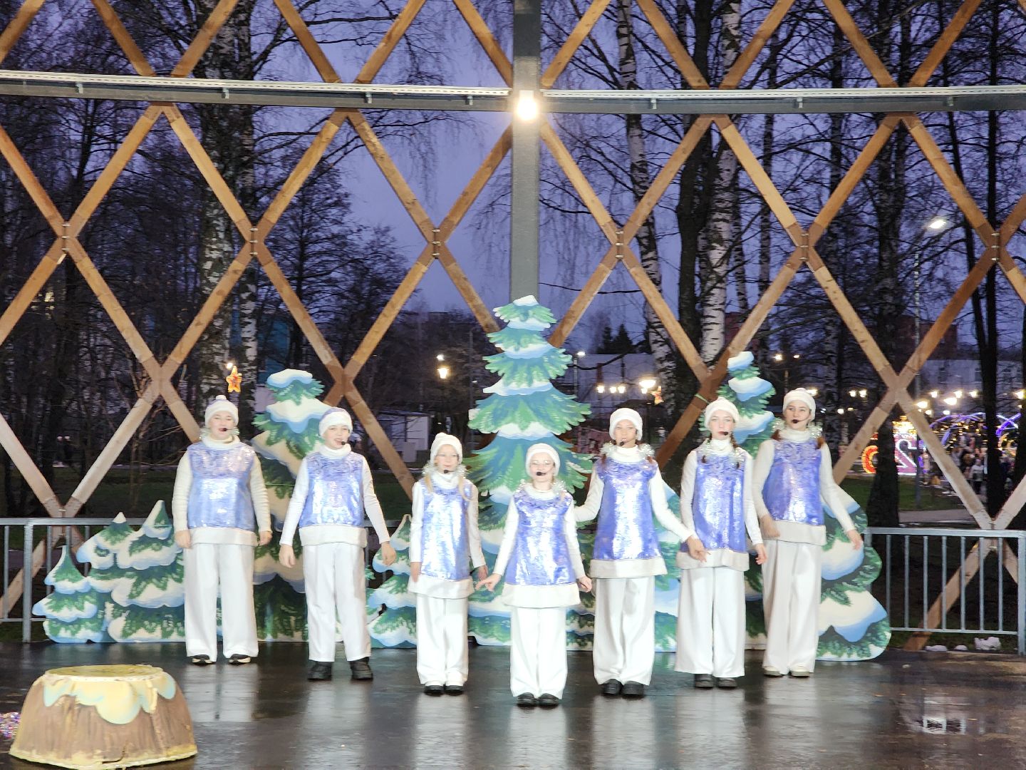 зима в подмосковье, Егорьевск, Московская область, Парк 200 лет Егорьевску», новый год, дед мороз, резиденция деда мороза, вертикалка, вертикальное видео,