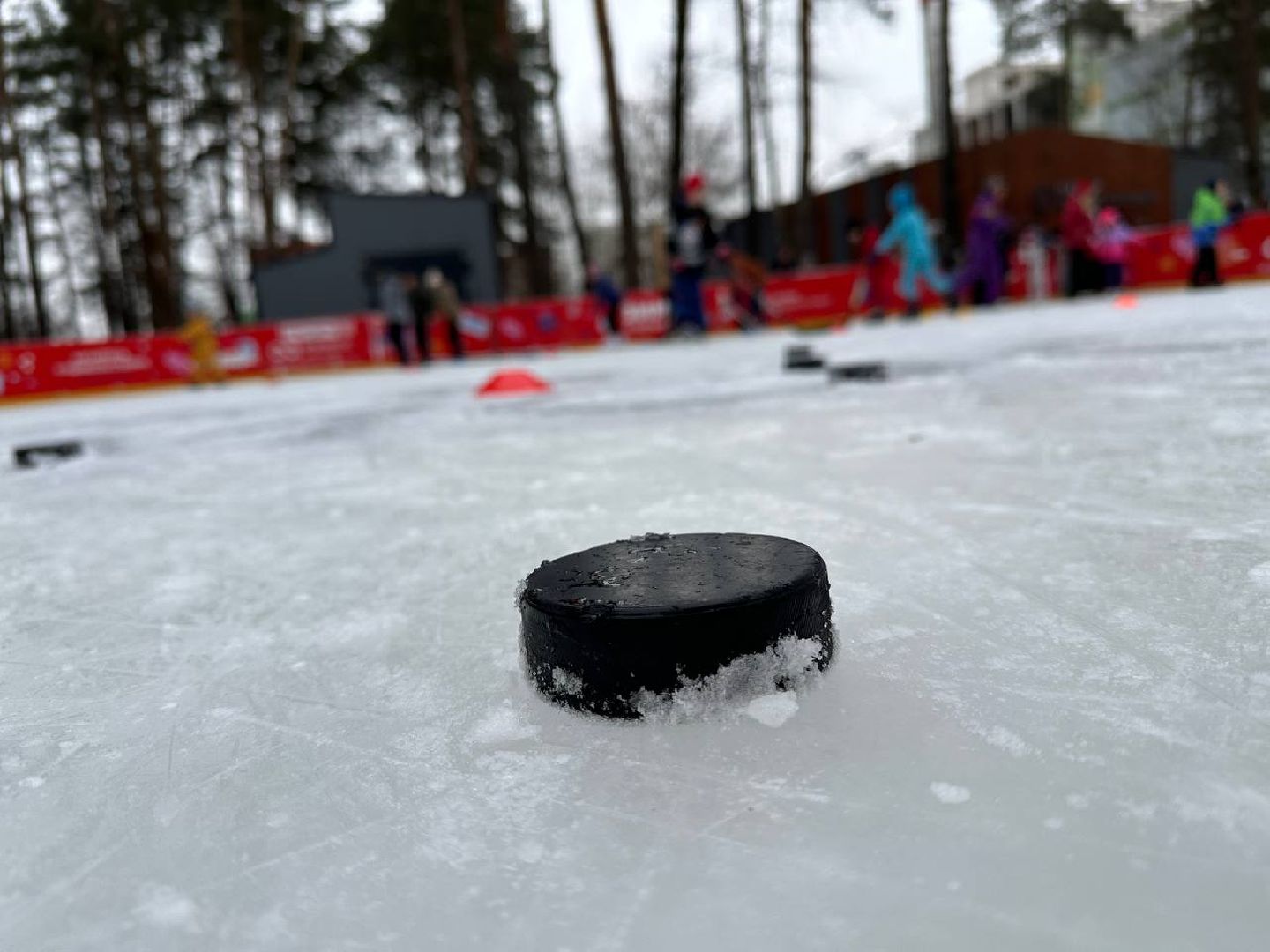 спорт, день хоккея, масте-класс, первый день зимы, парки, вертикалки,