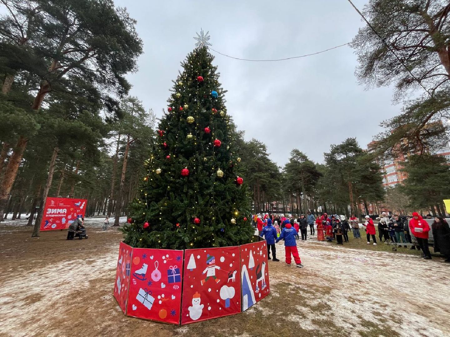 дмитров, парк сосновый бор, проект зима в подмосковье, вертикалки,