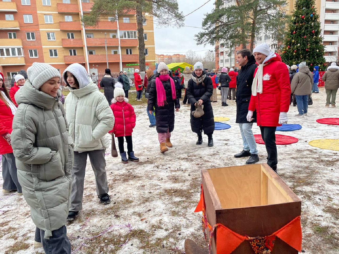 дмитров, парк сосновый бор, проект зима в подмосковье, вертикалки,
