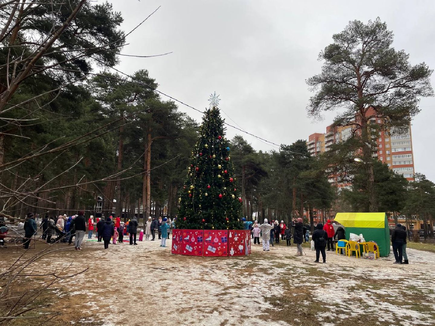 дмитров, парк сосновый бор, проект зима в подмосковье, вертикалки,