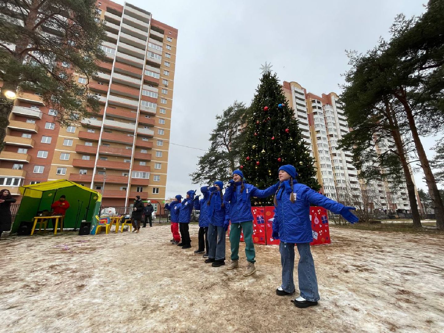 дмитров, парк сосновый бор, проект зима в подмосковье, вертикалки,