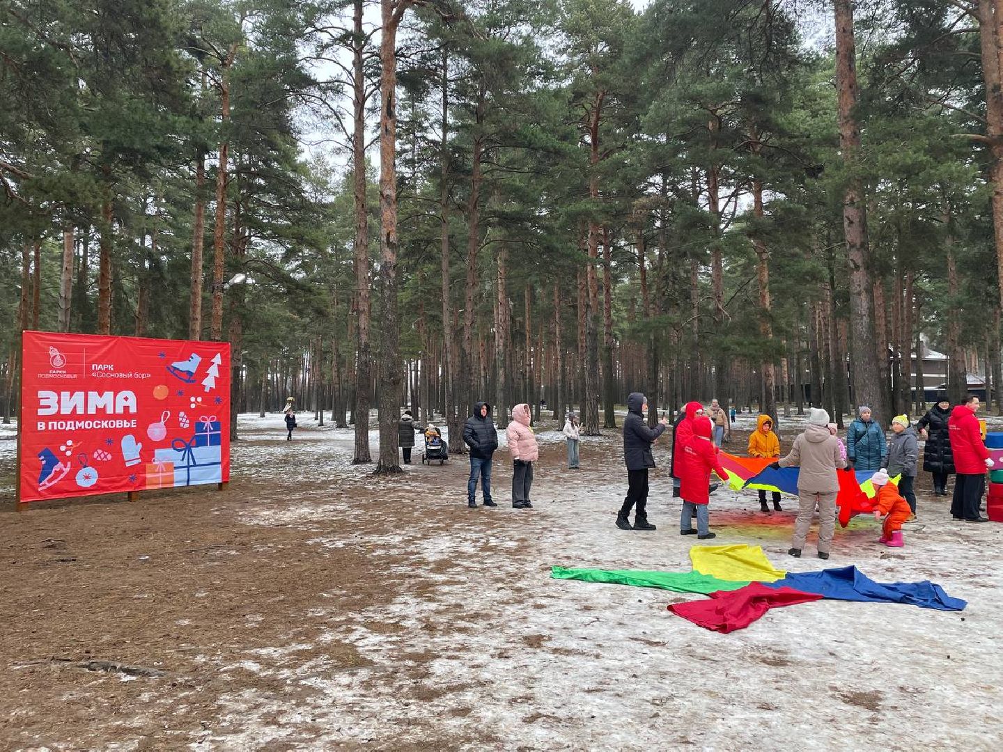 дмитров, парк сосновый бор, проект зима в подмосковье, вертикалки,