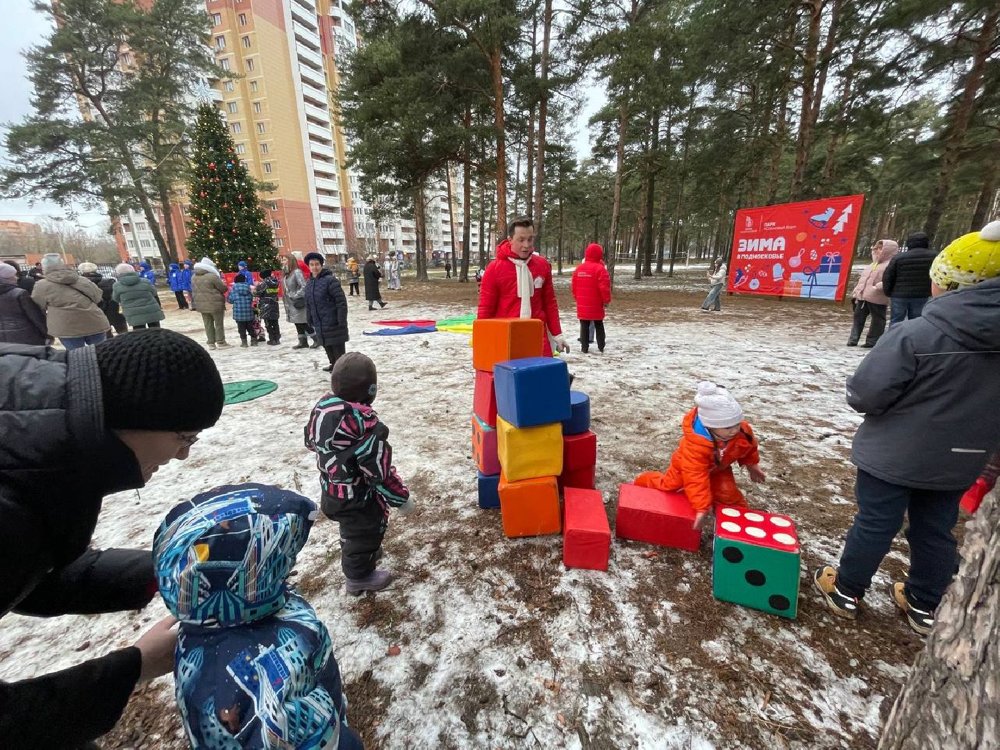 дмитров, парк сосновый бор, проект зима в подмосковье, вертикалки,