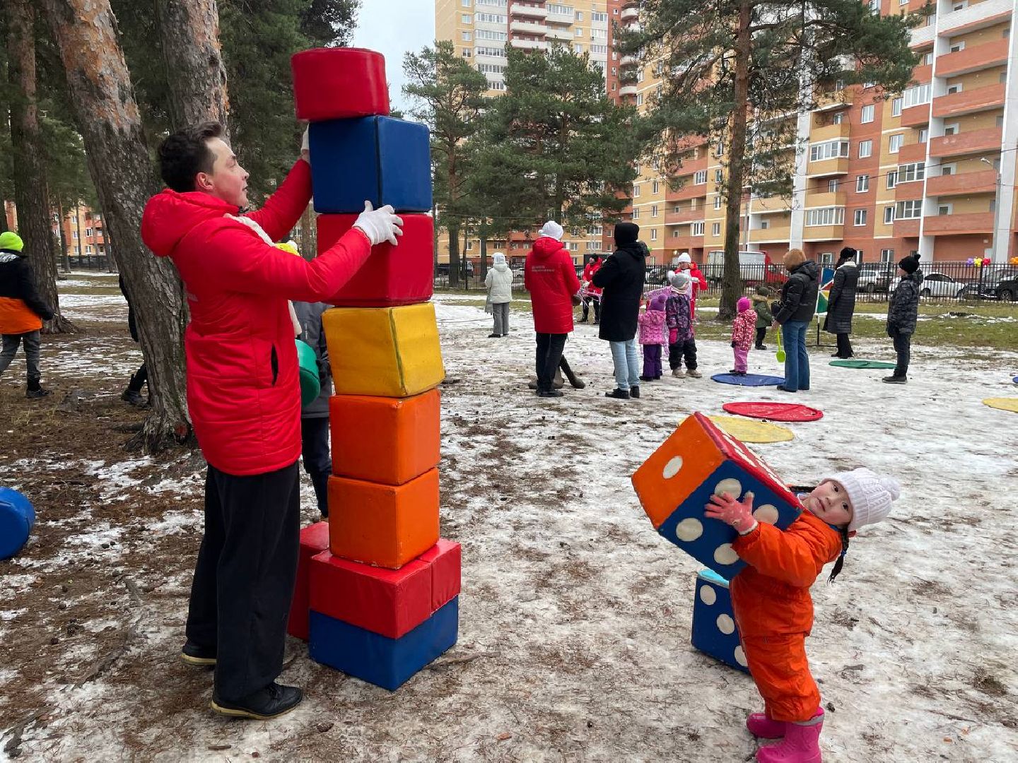 дмитров, парк сосновый бор, проект зима в подмосковье, вертикалки,