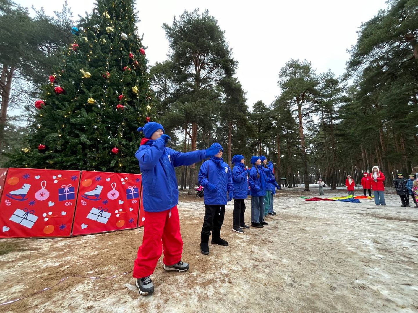 дмитров, парк сосновый бор, проект зима в подмосковье, вертикалки,