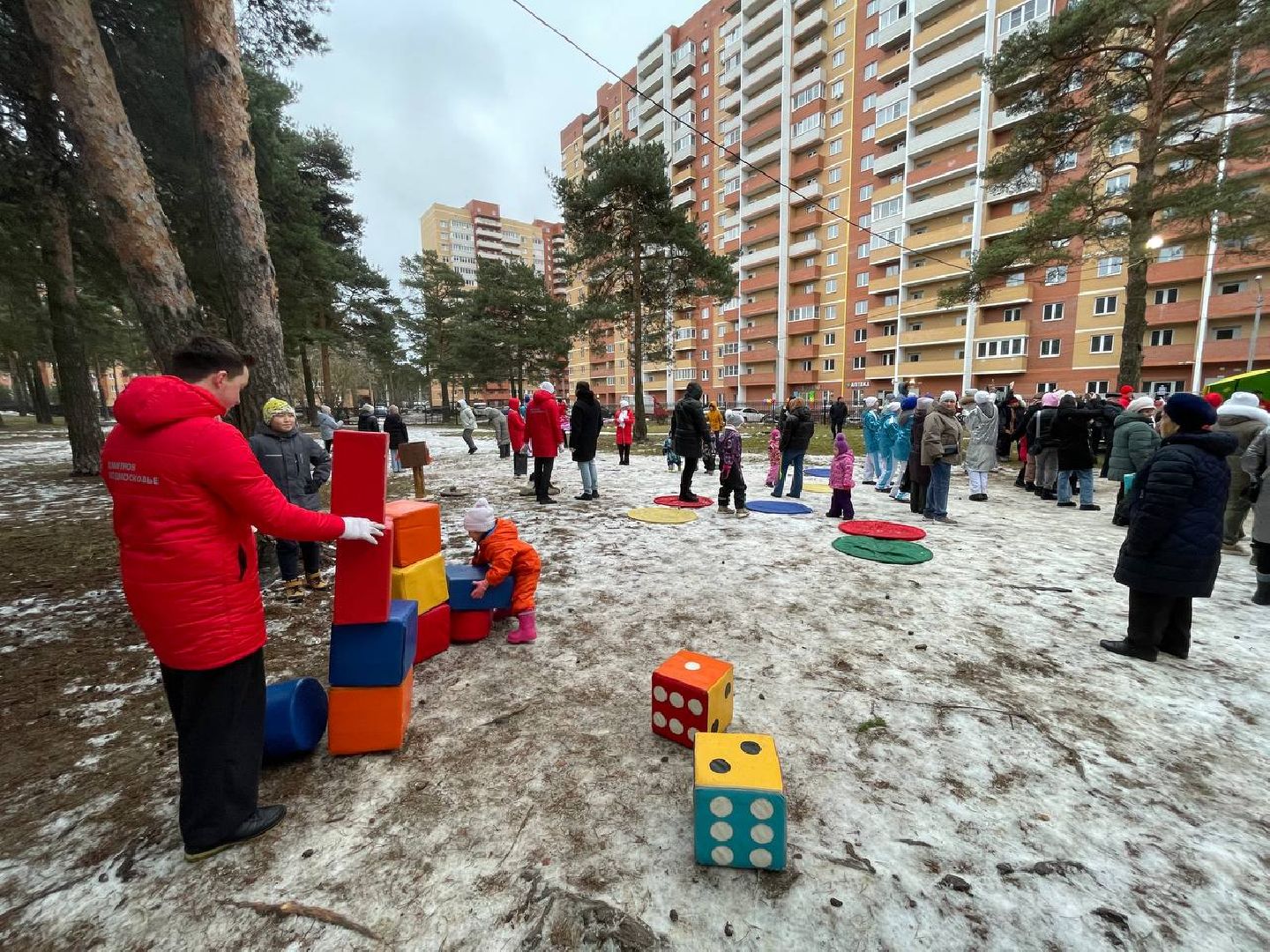 дмитров, парк сосновый бор, проект зима в подмосковье, вертикалки,