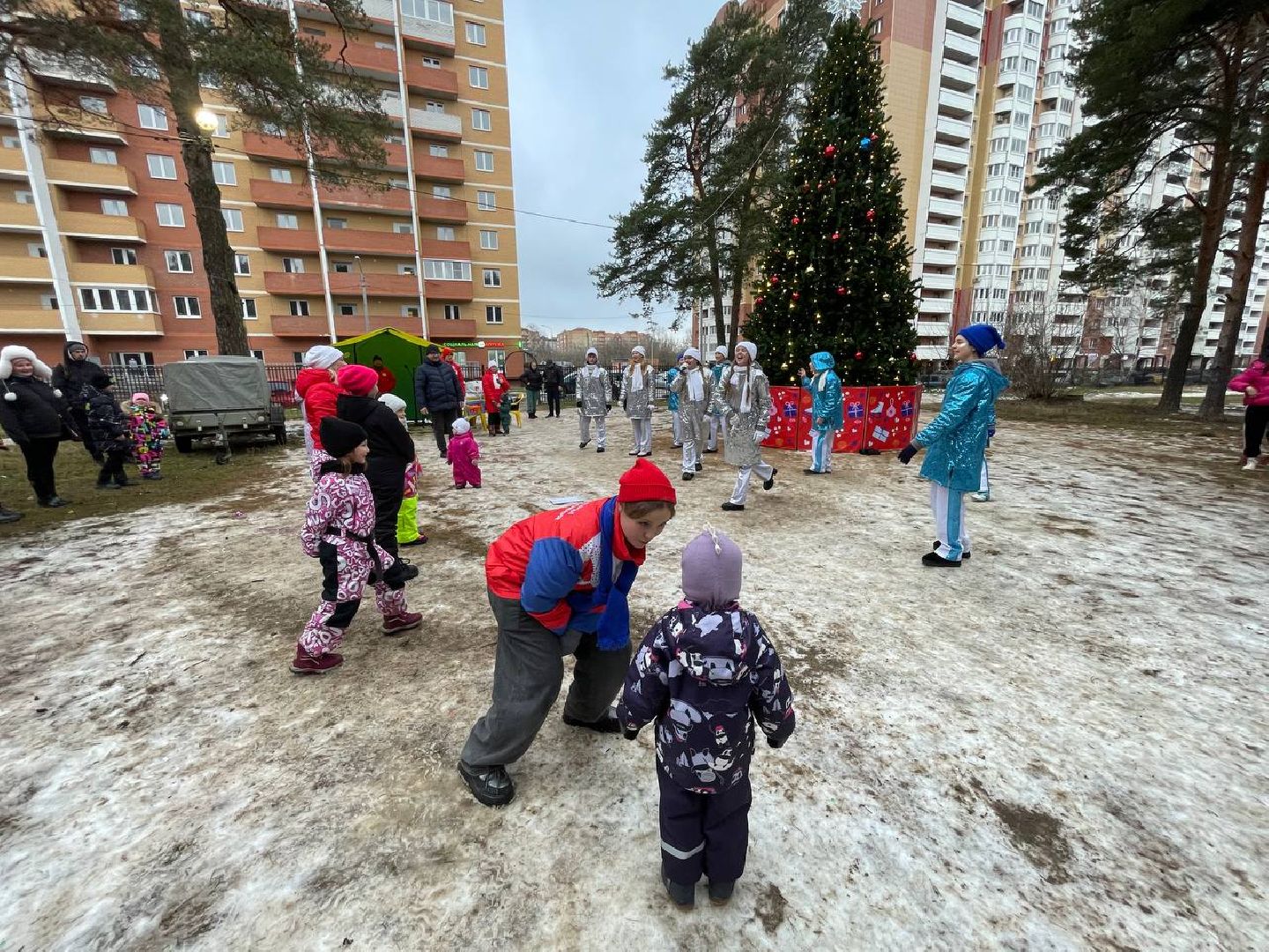 дмитров, парк сосновый бор, проект зима в подмосковье, вертикалки,
