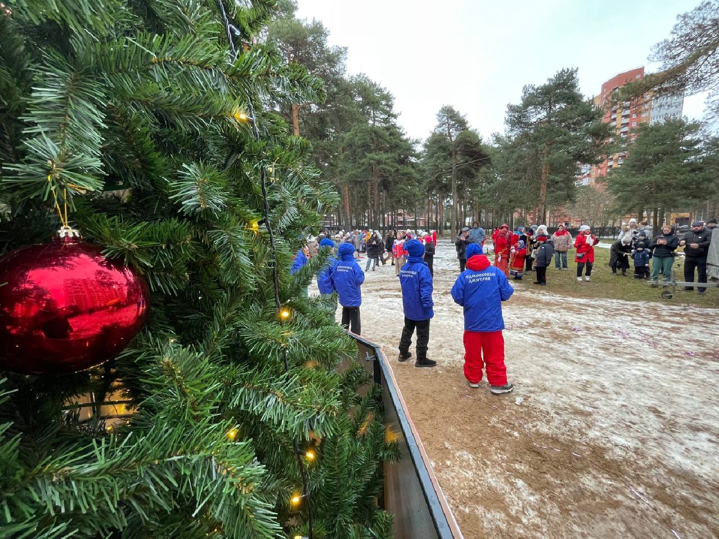 дмитров, парк сосновый бор, проект зима в подмосковье, вертикалки,