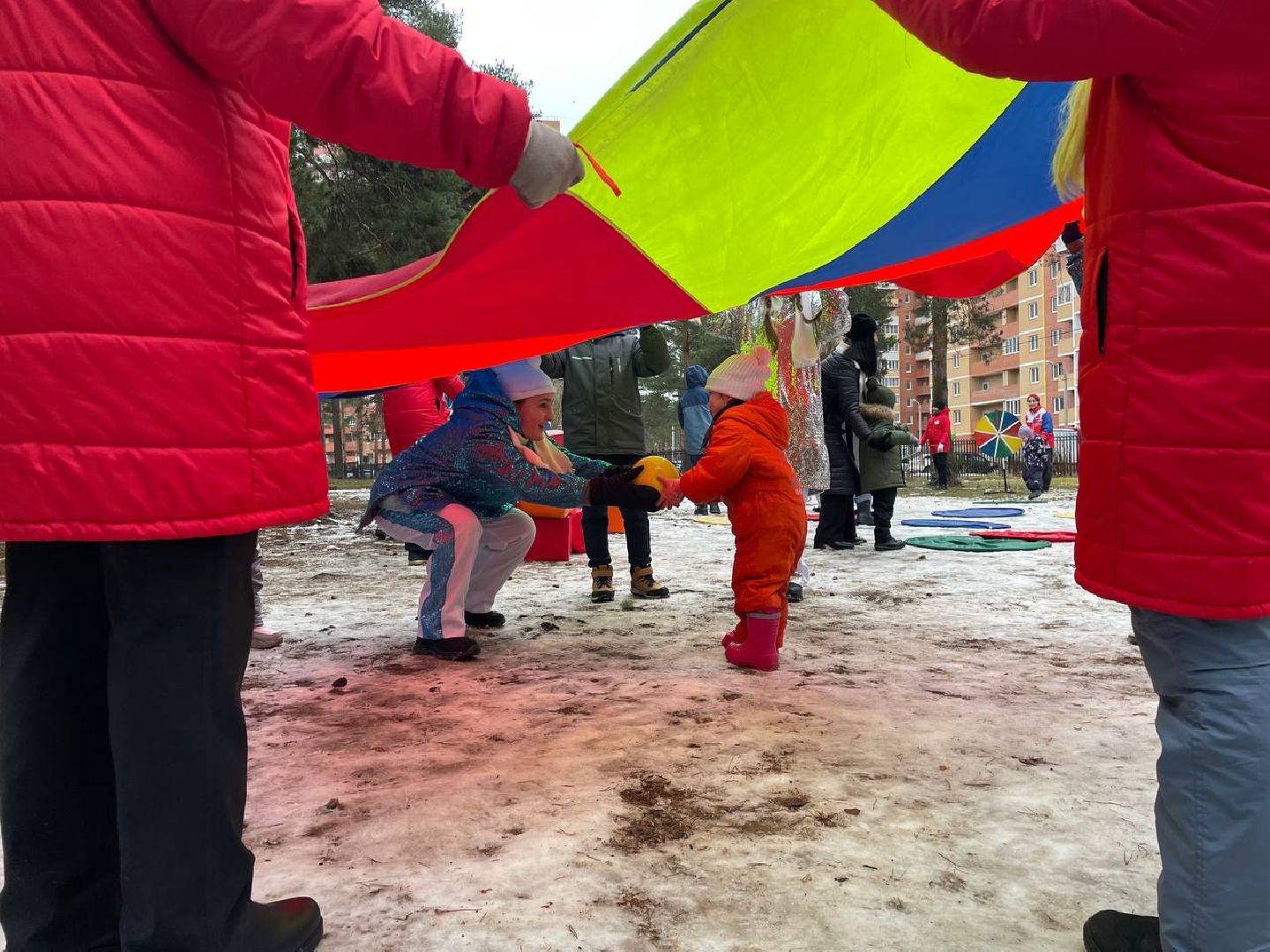 дмитров, парк сосновый бор, проект зима в подмосковье, вертикалки,