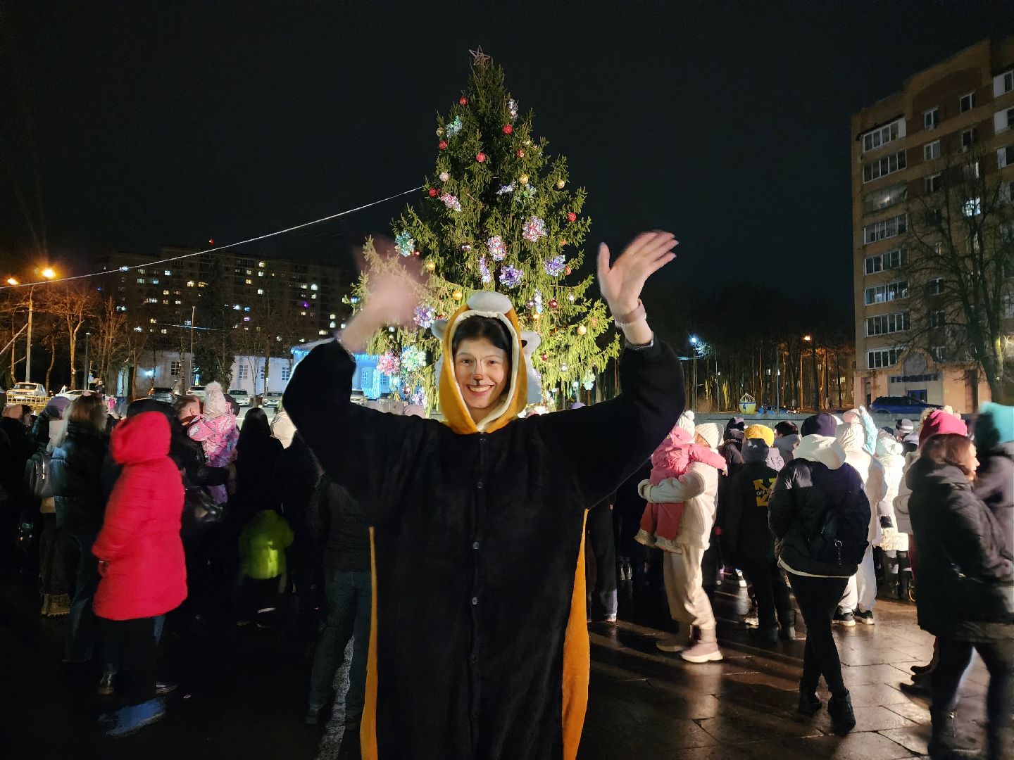 красноармейск, городской округ пушкинский, зимний сезон, вертикалки,