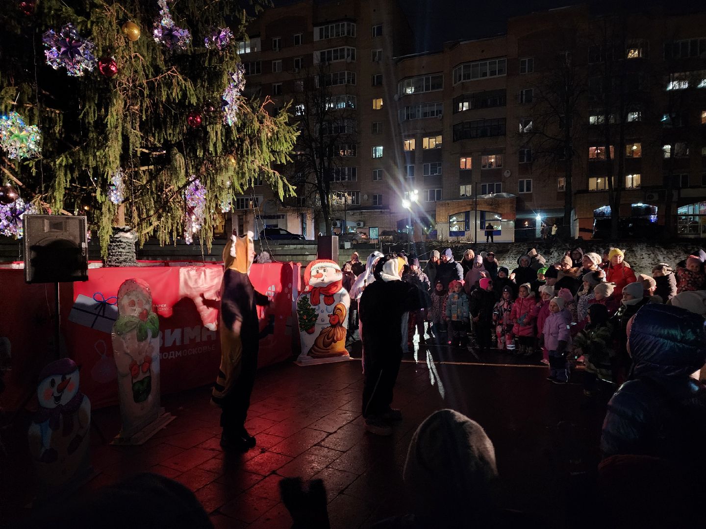 красноармейск, городской округ пушкинский, зимний сезон, вертикалки,