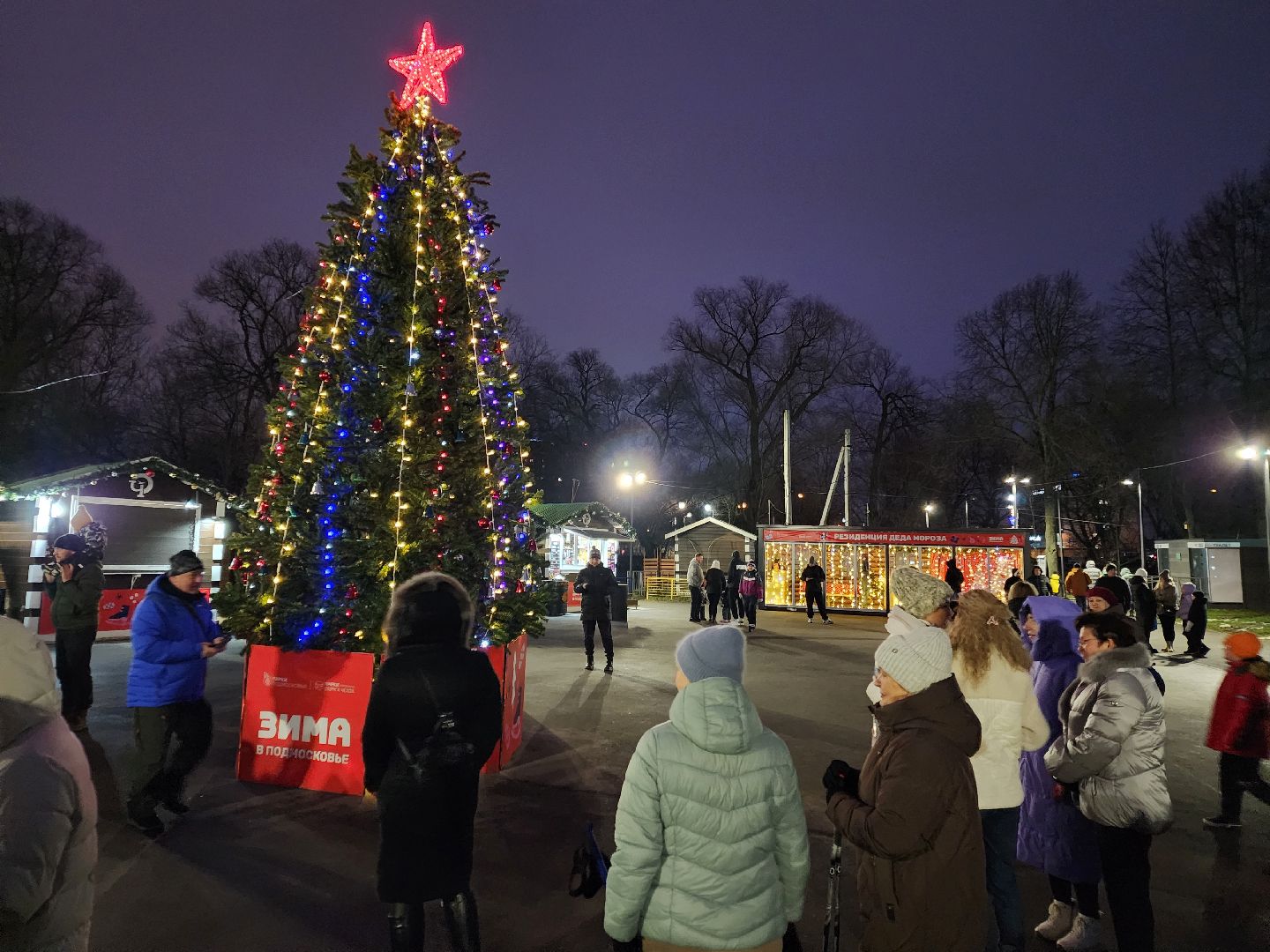 Чехов, парк культуры и отдыха, проект Зима в Подмосковье, открытие нового зимнего сезона, мероприятие Парк зажигает огни, народные гуляния и забавы, праздничная программа, анимация, новогодняя елка, зима в подмосковье, вертикалки,