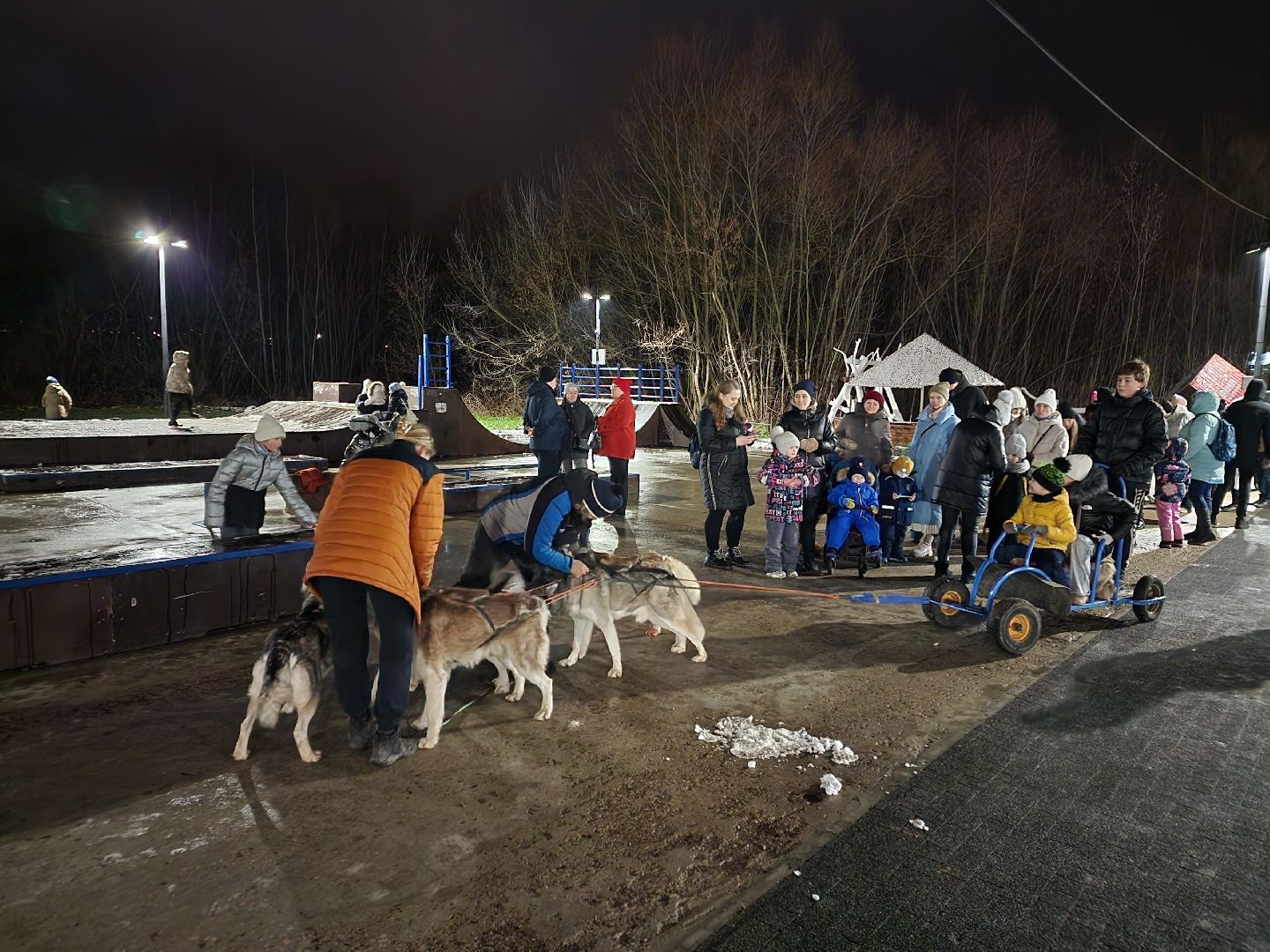 Чехов, парк культуры и отдыха, проект Зима в Подмосковье, открытие нового зимнего сезона, мероприятие Парк зажигает огни, народные гуляния и забавы, праздничная программа, анимация, новогодняя елка, зима в подмосковье, вертикалки,