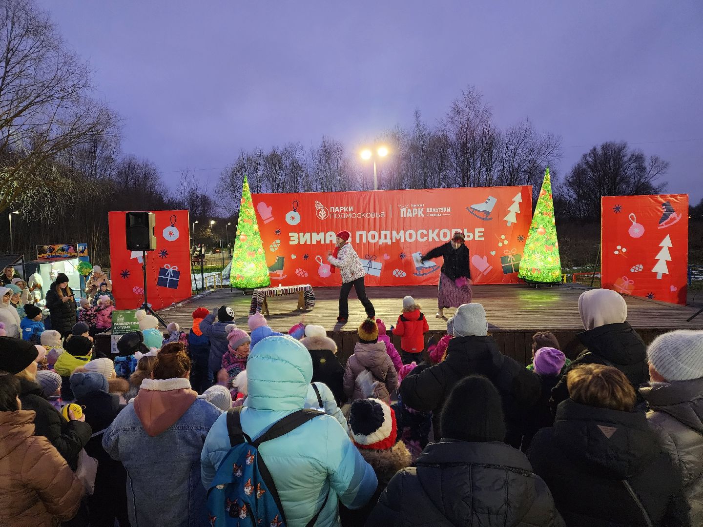 Чехов, парк культуры и отдыха, проект Зима в Подмосковье, открытие нового зимнего сезона, мероприятие Парк зажигает огни, народные гуляния и забавы, праздничная программа, анимация, новогодняя елка, зима в подмосковье, вертикалки,
