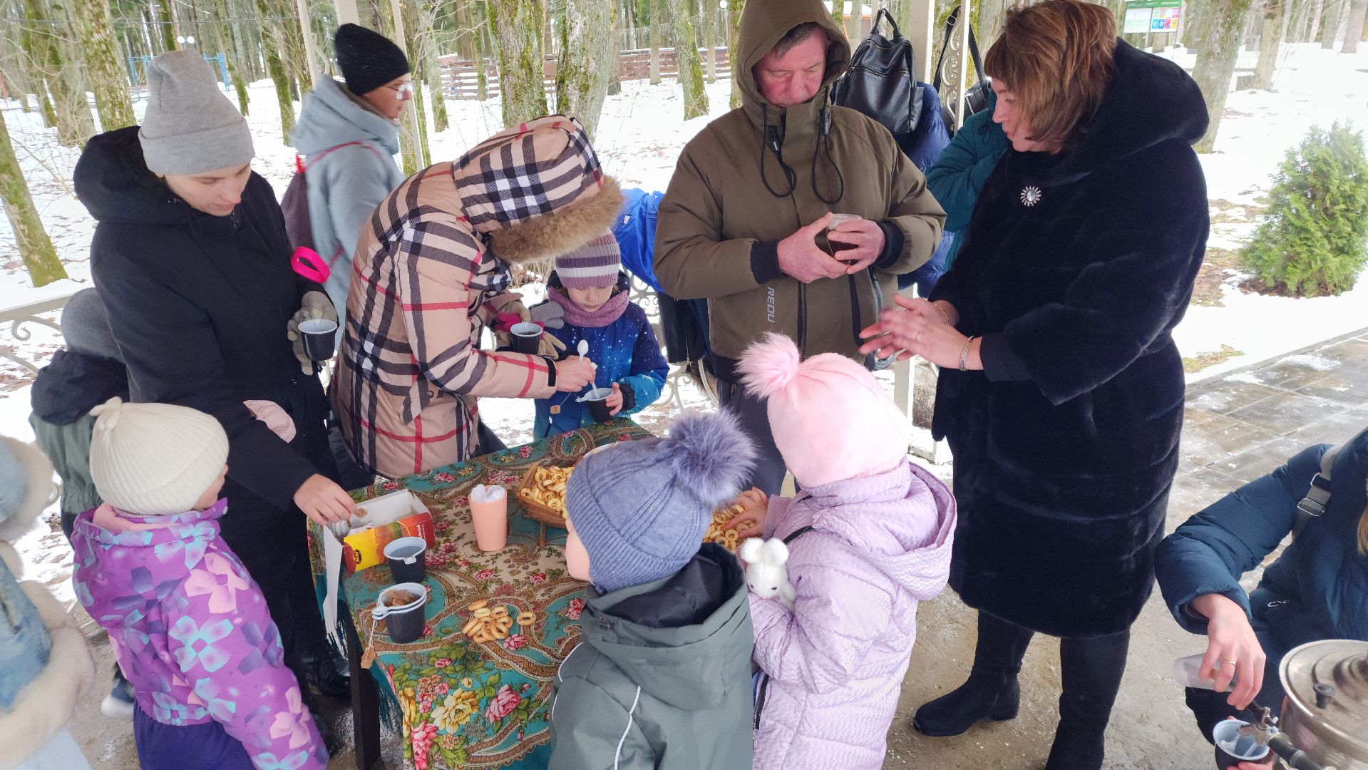 волоколамск, зима в подмосковье, культура, досуг зимой, вертикалки,