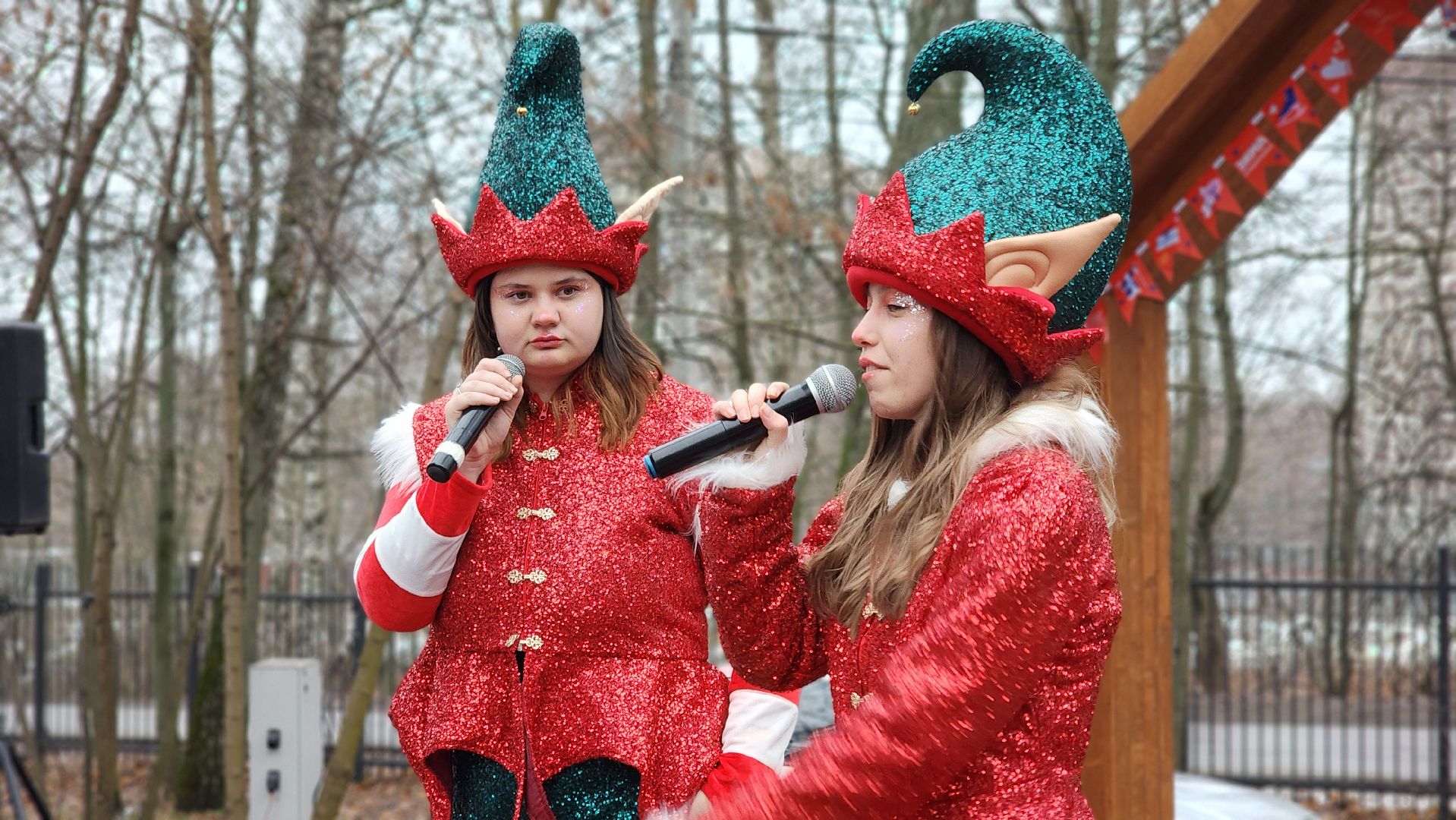 зимний сезон, зима в Подмосковье, парки Подмосковья, Лосино-Петровский, вертикалки,