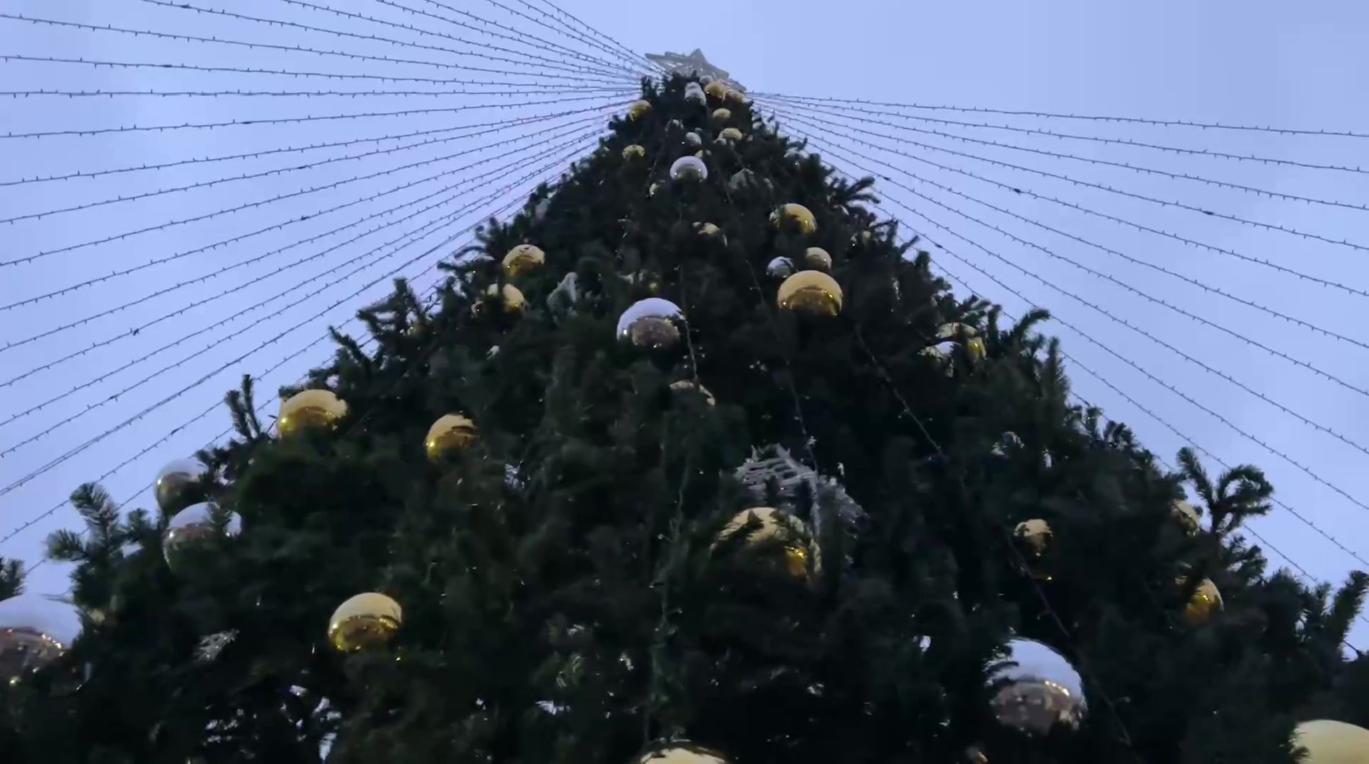 Реутов, вертикалки, центральный парк, зима в подмосковье, праздник детства, зимнее волшебство,