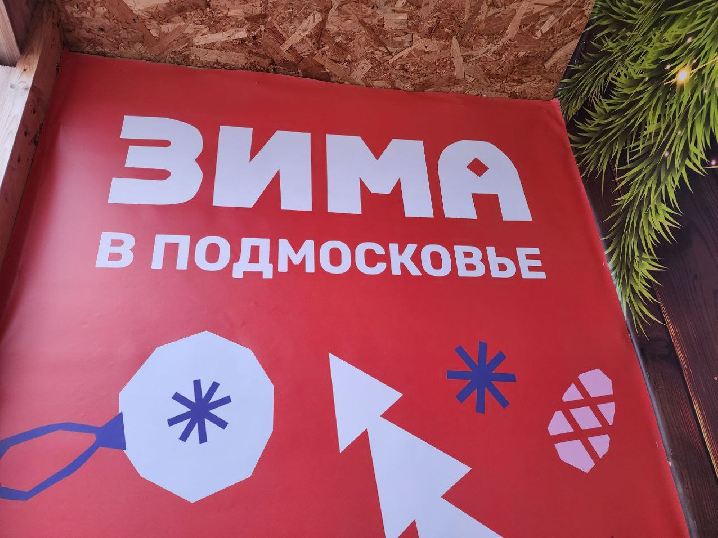 Солнечногорск, резиденция деда мороза, жители, Дети, снегурочка,