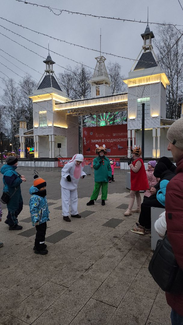 вертикалки, пушкино, анимация, дети, праздник, ёлка, дети и родители, песни, танцы,