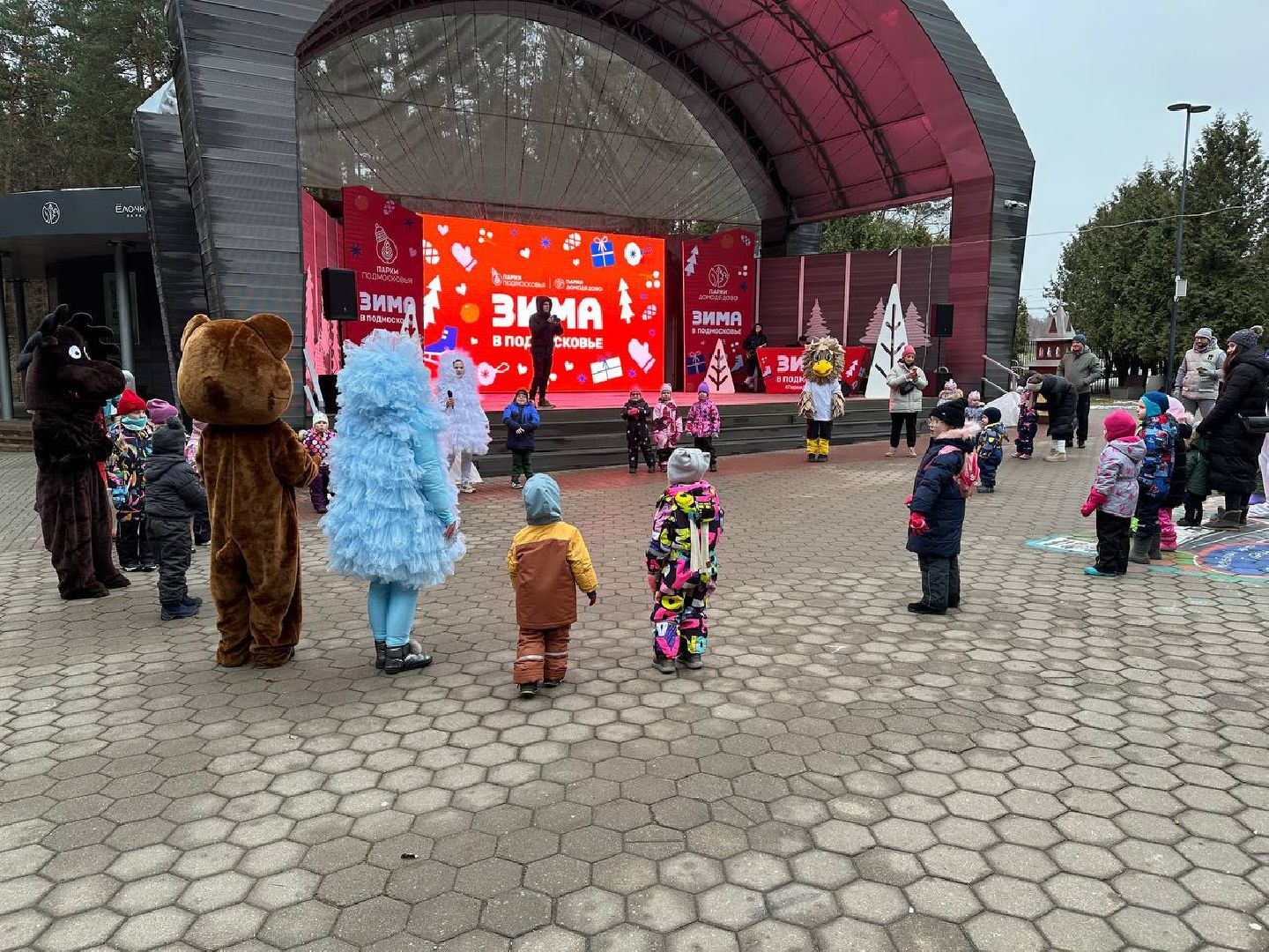 парки домодедово, первый день зимы,дети,