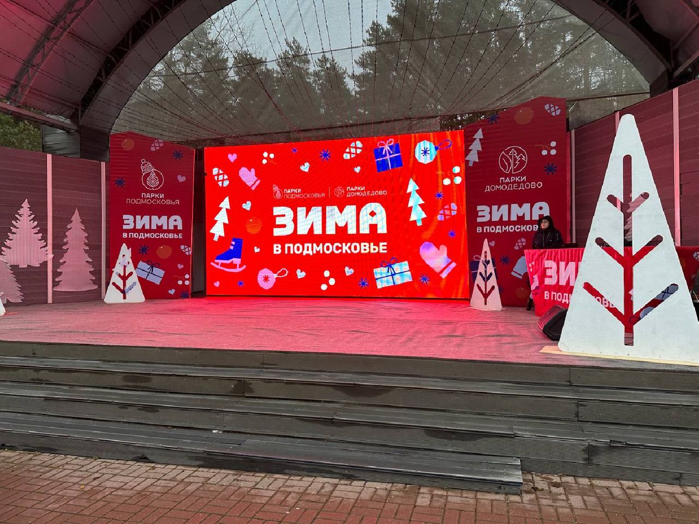 парки домодедово, первый день зимы,дети,